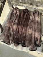 شال توری مجلسی رنگ سال رشت فرانلند عمده