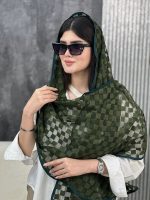 شال توری اشکال فرانلند رشت