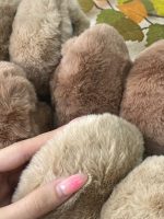 گوش گیر تاشو تدی ترند پاییزه فرانلند رشت