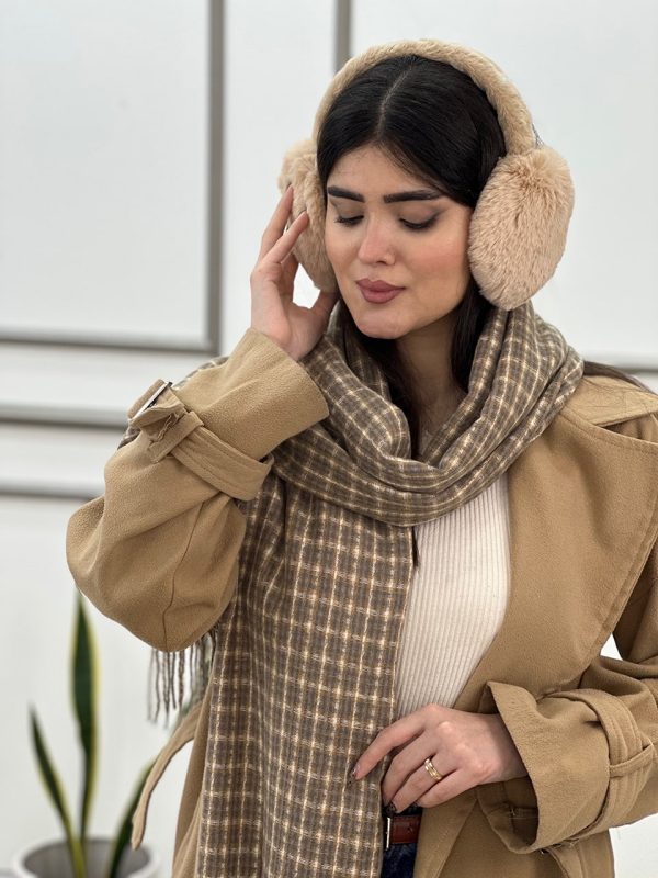 گوش گیر تدی فرانلند رشت