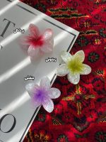 کلیپس گل پلومریا اکسسوری رشت فرانلند