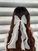 گیره فرانسوی حریر اکسسوری مو رشت فرانلند