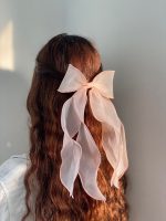 گیره فرانسوی حریر اکسسوری مو رشت فرانلند