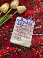 گیره تق تقی ستاره جفتی اکسسوری فرانلند رشت