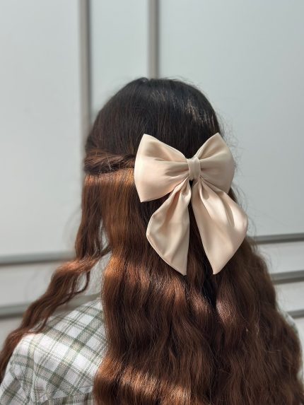 گیره مو فرانسوی پاپیون فرانلند عمده خدادوست رشت